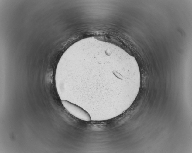 X0000110870368200907301418