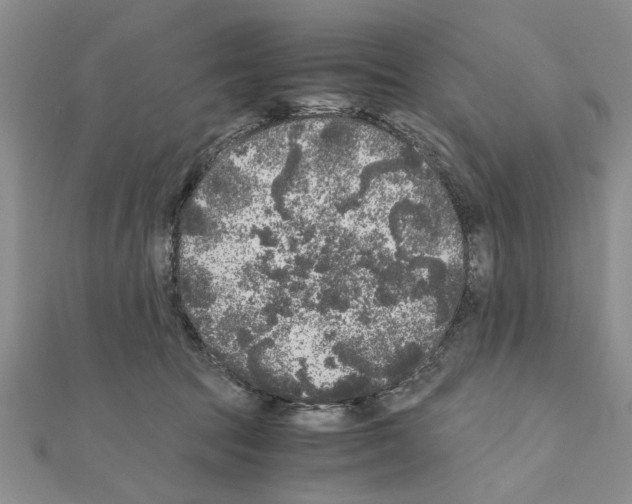 X0000110870369200907301418