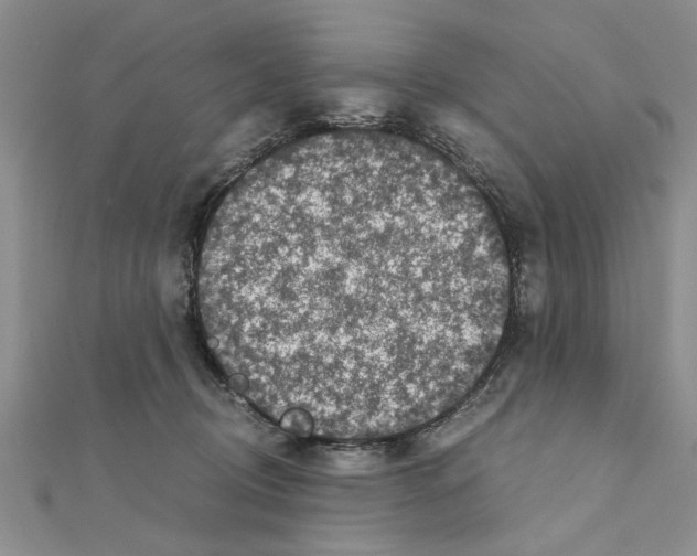 X0000110870370200907301418