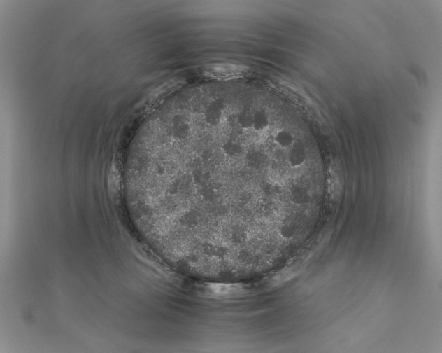 X0000110870371200907301418