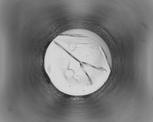 X0000110870372200907301418