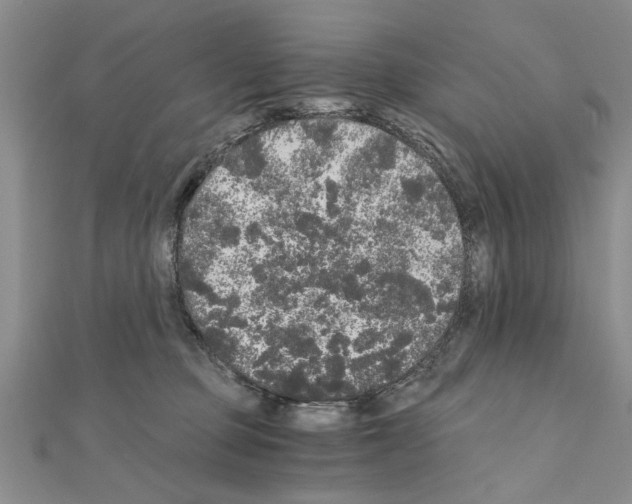 X0000110870373200907301418