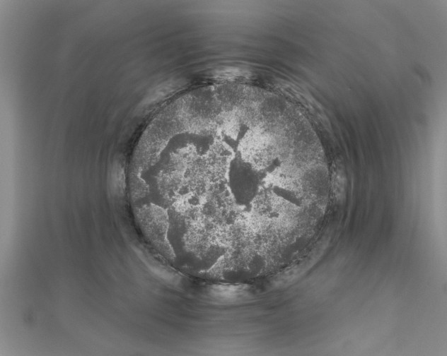 X0000110870375200907301418