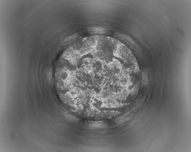 X0000110870377200907301418