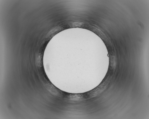 X0000110870378200907301418