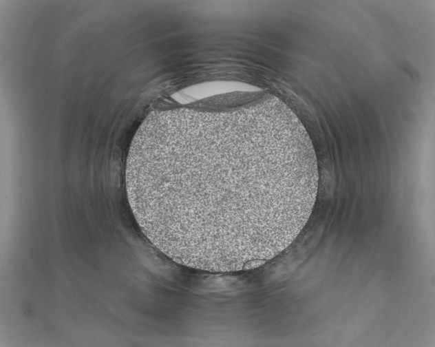 X0000110870379200907301418