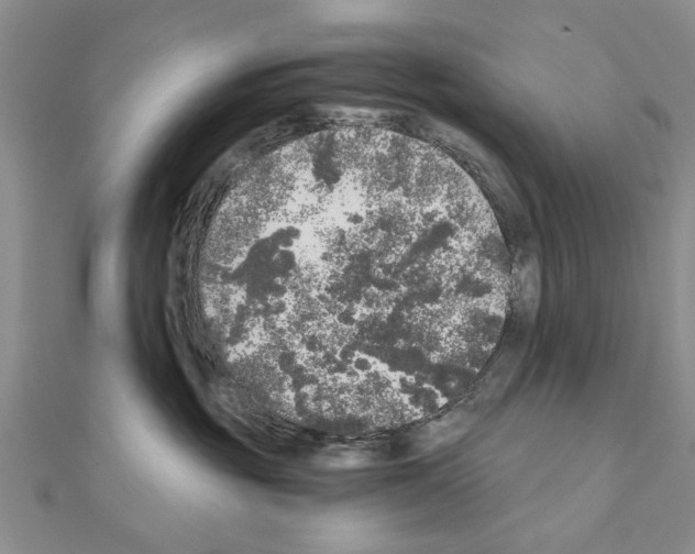 X0000110870381200907301418