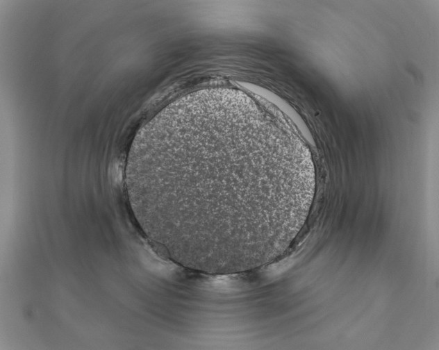 X0000110870382200907301418