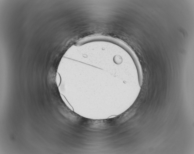 X0000110870384200907301418