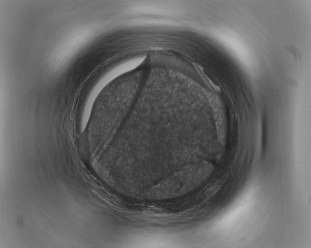 X0000110870387200907301417