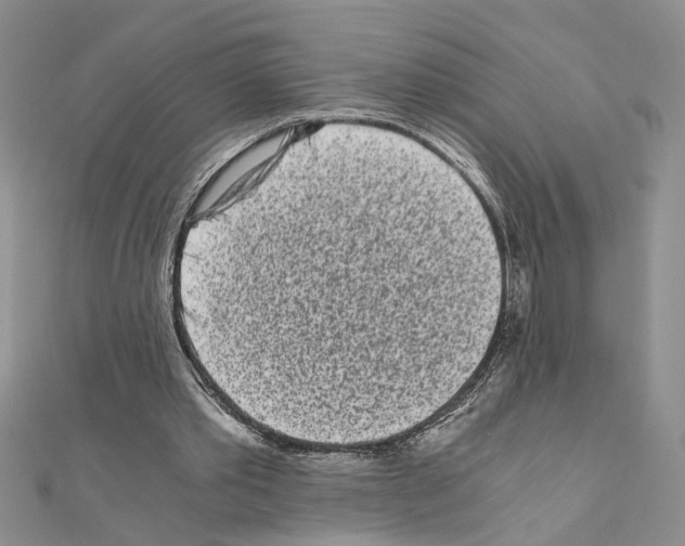 X0000110870389200907301417