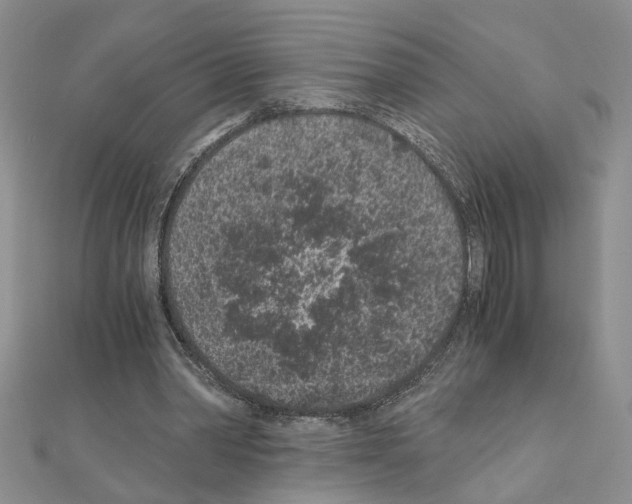 X0000110870390200907301417