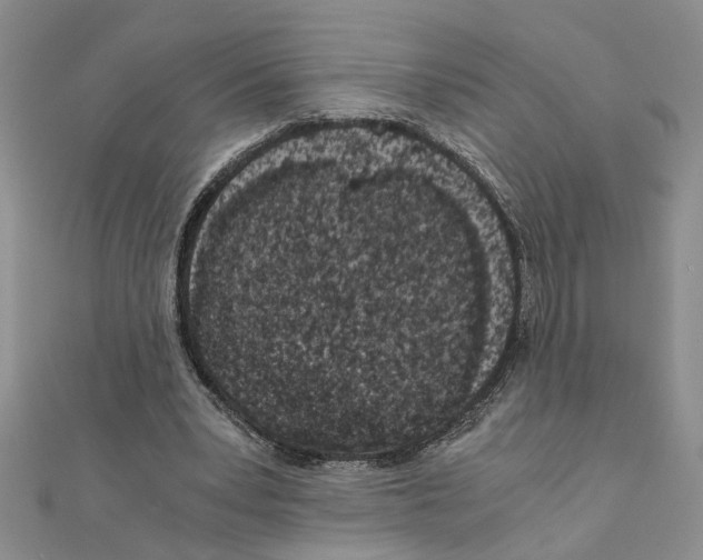 X0000110870391200907301417