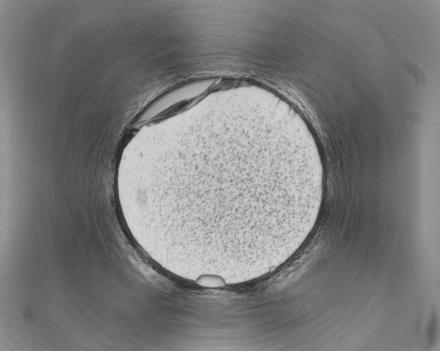 X0000110870393200907301417