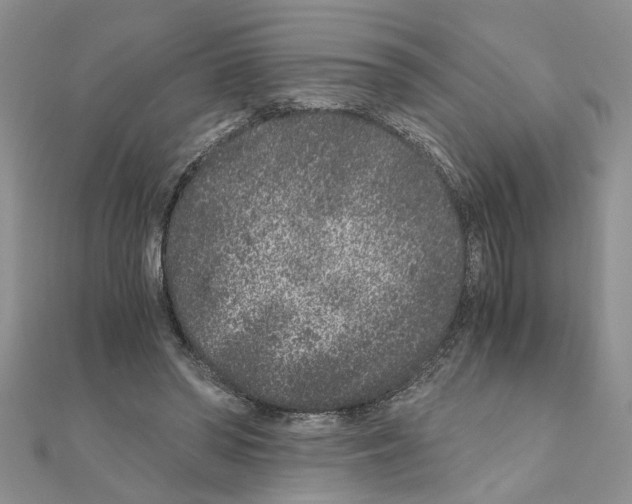 X0000110870398200907301417