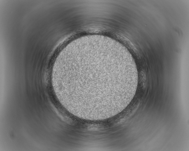 X0000110870400200907301417