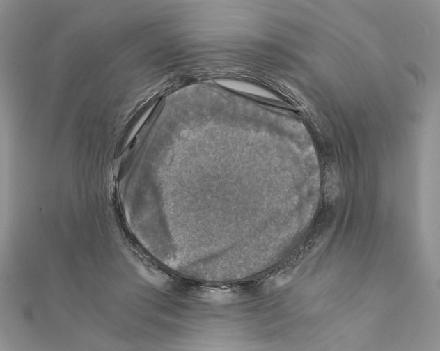 X0000110870405200907301417