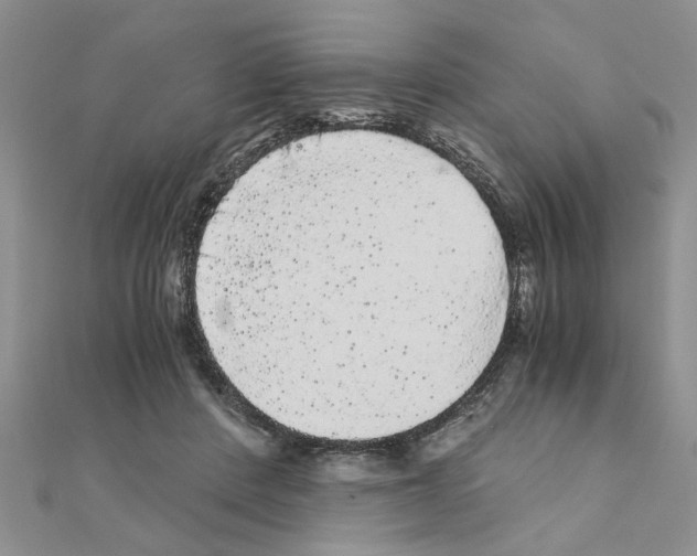 X0000110870408200907301417