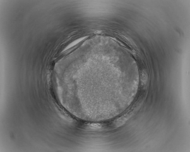 X0000110870409200907301417