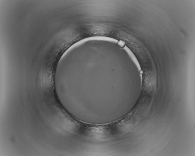 X0000110870411200907301417