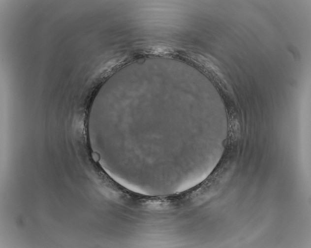 X0000110870415200907301417