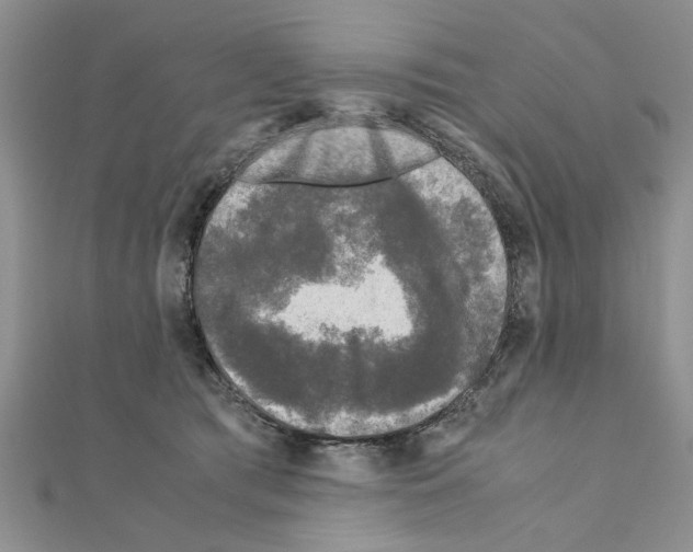 X0000110870417200907301417