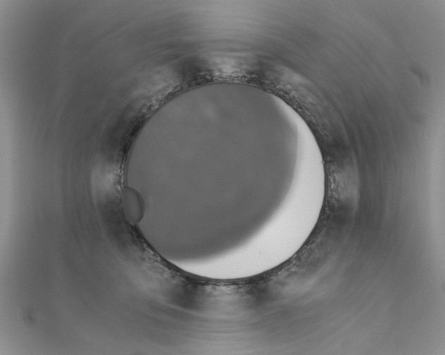 X0000110870419200907301417