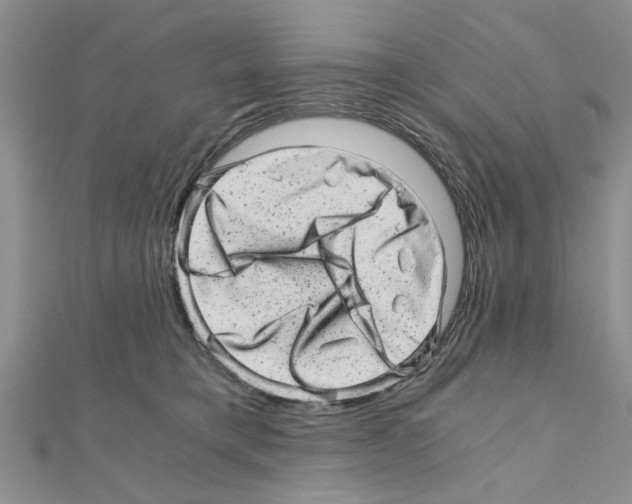 X0000110870421200907301417