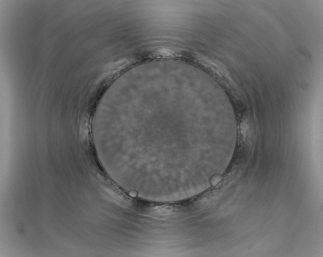 X0000110870423200907301417