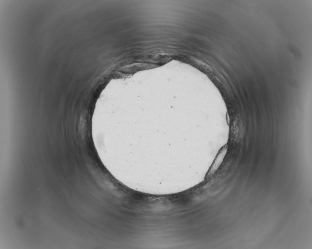 X0000110870424200907301417