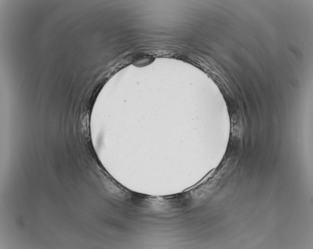 X0000110870425200907301417