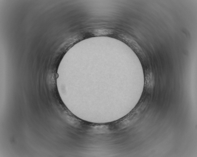 X0000110870426200907301417