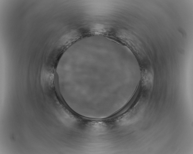 X0000110870427200907301417