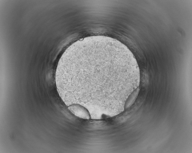 X0000110870428200907301417