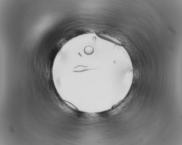 X0000110870429200907301417