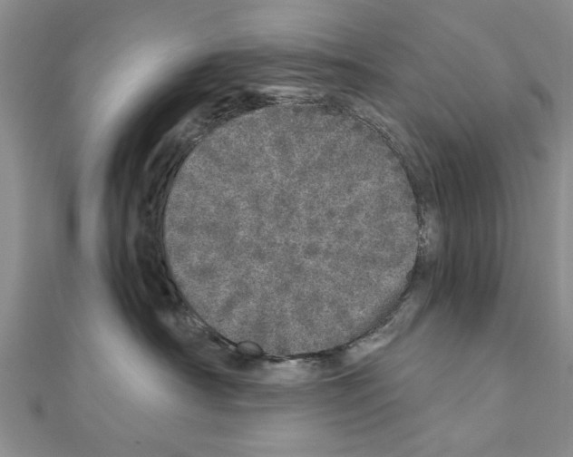 X0000110870430200907301417