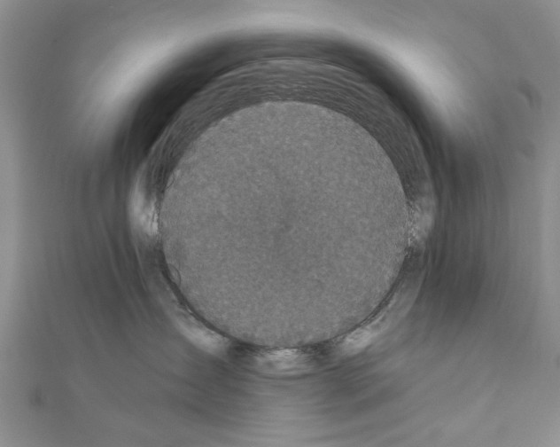 X0000110870431200907301417