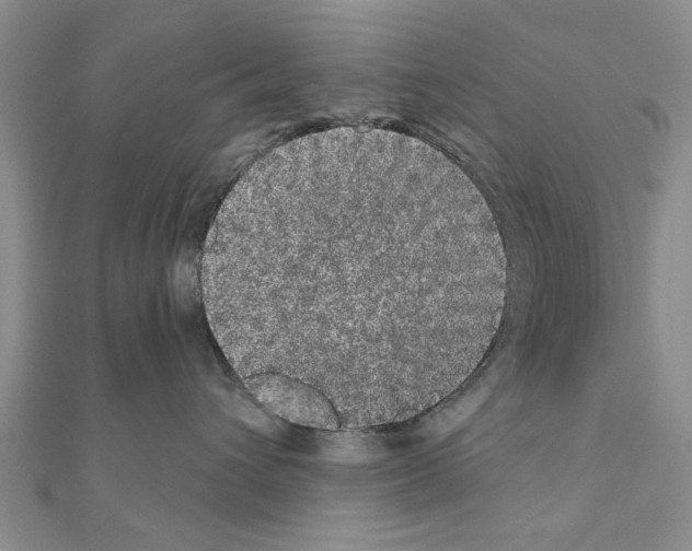 X0000110870432200907301417