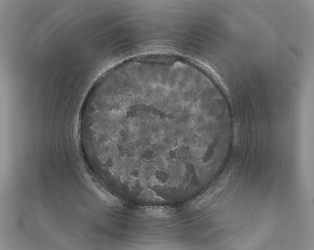 X0000110870439200907301416