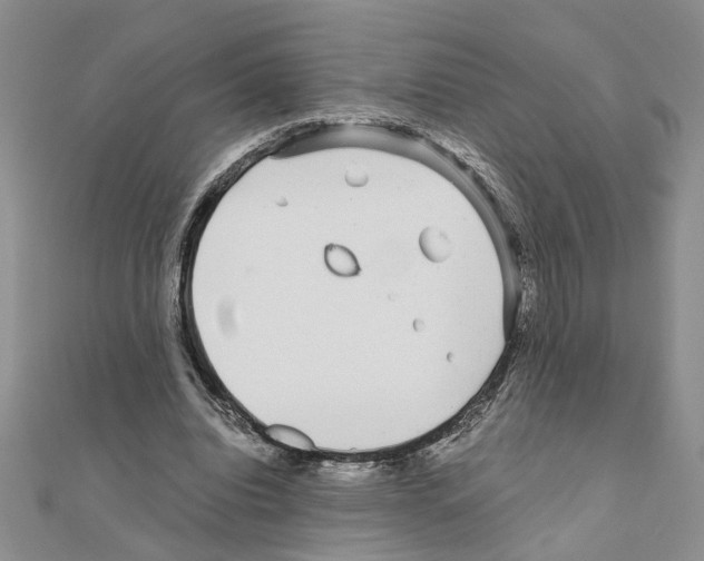 X0000110870440200907301416