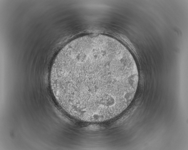 X0000110870441200907301416