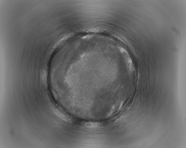 X0000110870444200907301416