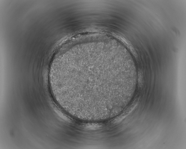 X0000110870445200907301416