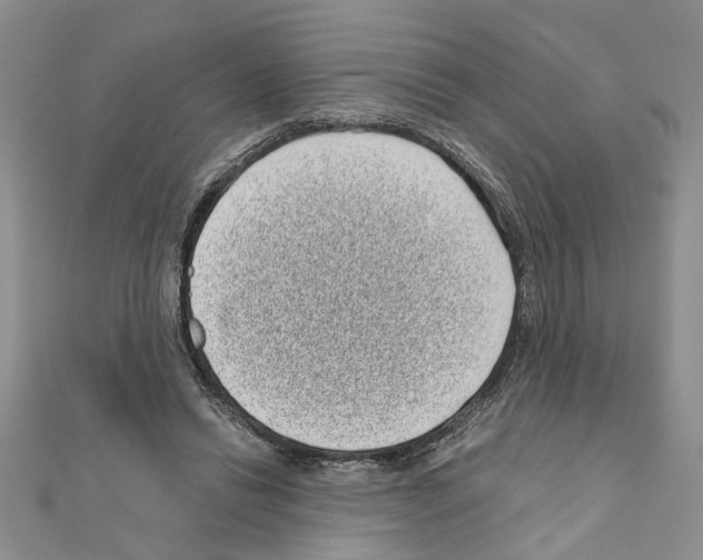 X0000110870446200907301416