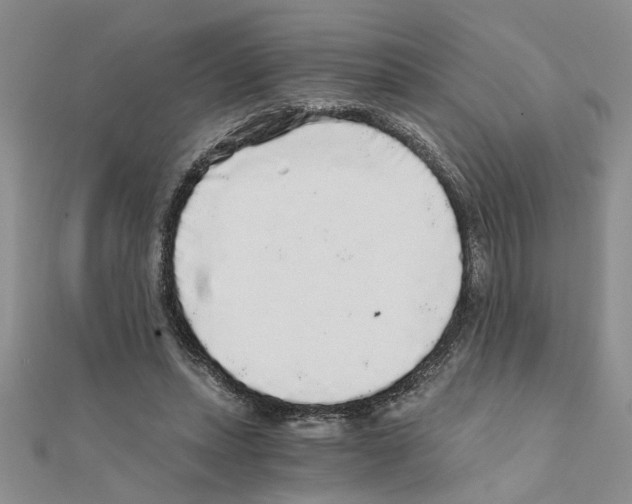 X0000110870447200907301416