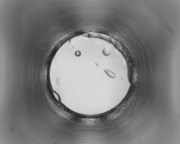 X0000110870448200907301416