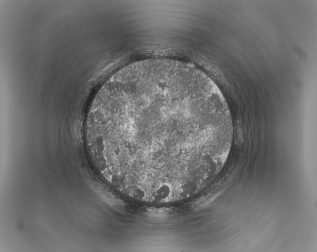 X0000110870450200907301416