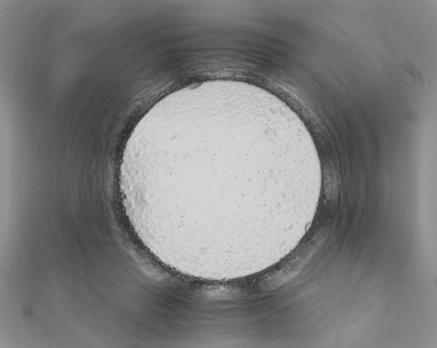 X0000110870453200907301416