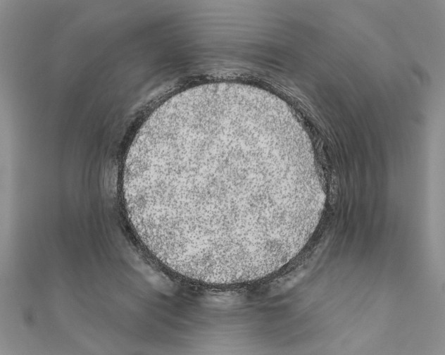 X0000110870454200907301416