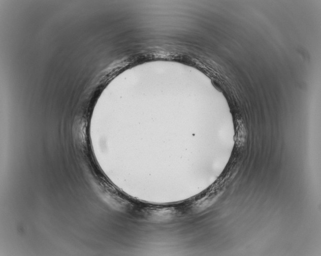 X0000110870456200907301416